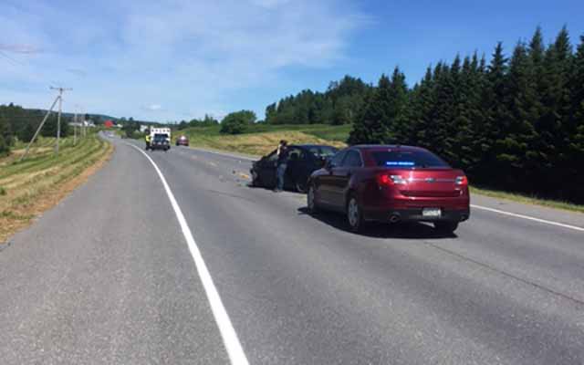 Bear sighting results in Westfield crash The County