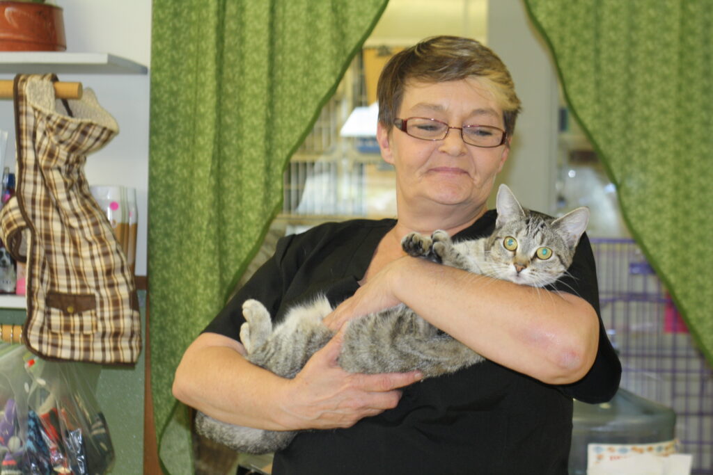 Central Aroostook Humane Society to host annual ‘Paws’ walk on June 1