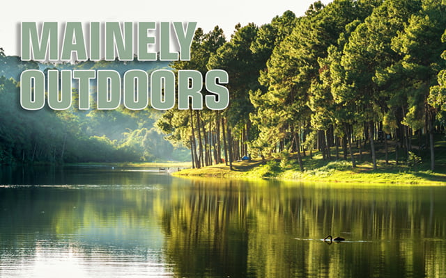 The words "Mainely Outdoors" shown in the upper-left shown over a photo of a river with trees along the banks and a bird swimming in the river.