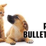 The words "Pet Bulletin" displayed to the right of a kitten and puppy interacting with one another.