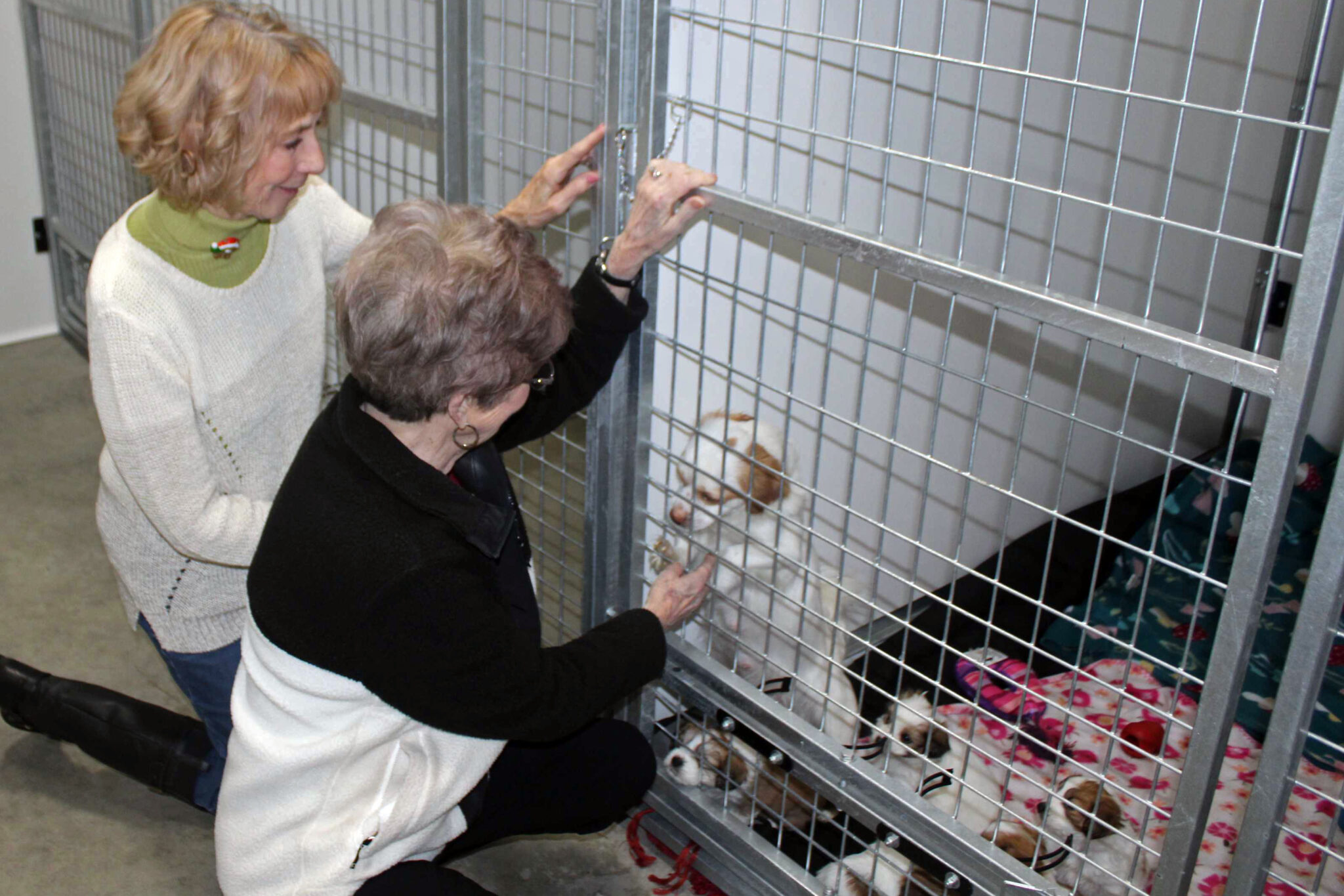 Presque Isle Animal Shelter