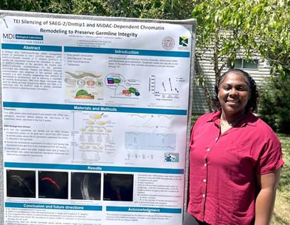 UMFK student advances research through INBRE Fellowship