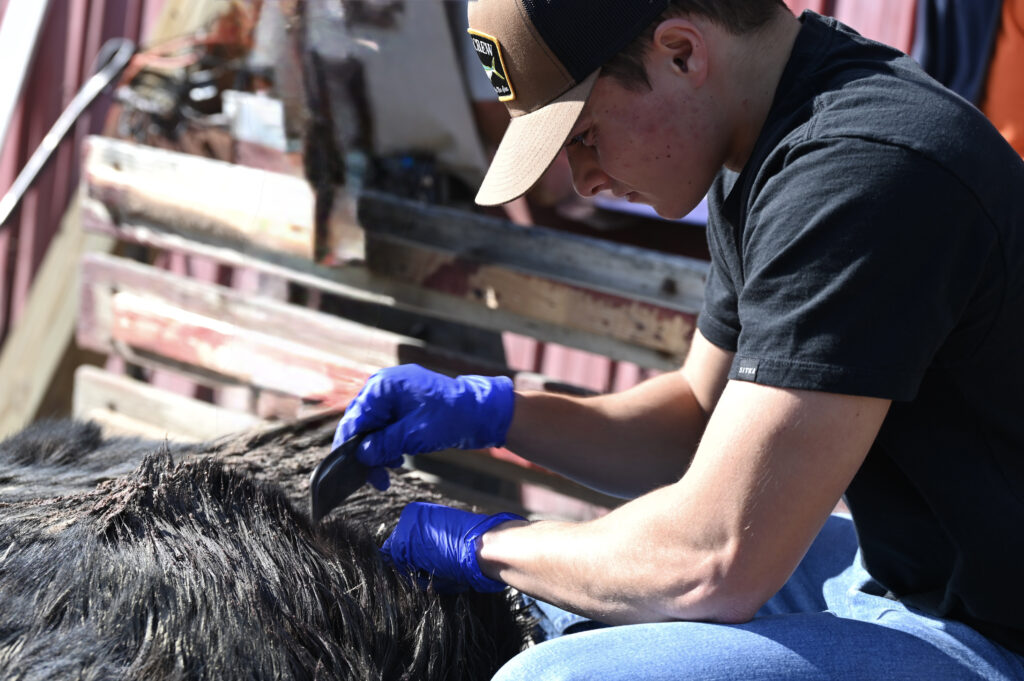 UMFK launches bachelor of science in wildlife management