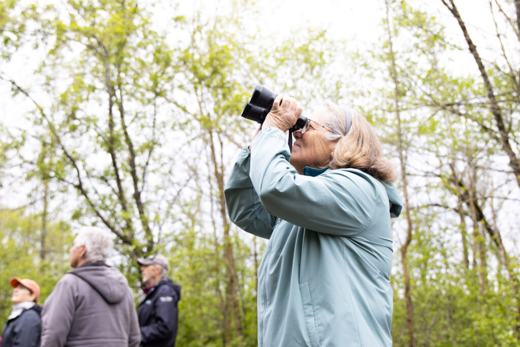 As bird watching grows, hobbyists flock to Caribou for monthlong ...