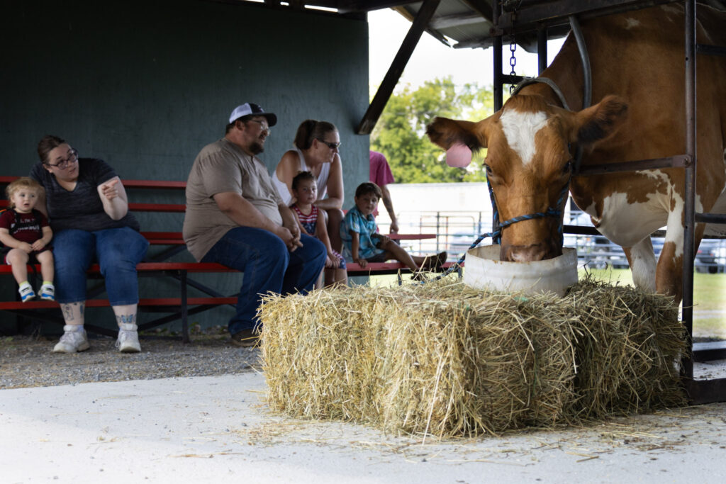 Rides, vehicles and animals captivate fairgoers - The County