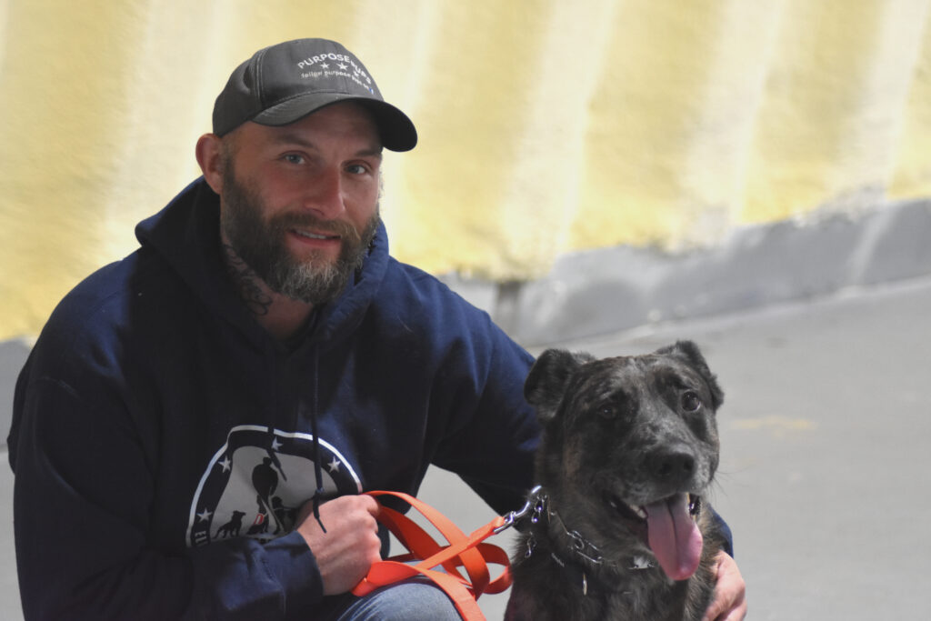 Training helped this longtime shelter dog find a home - The County